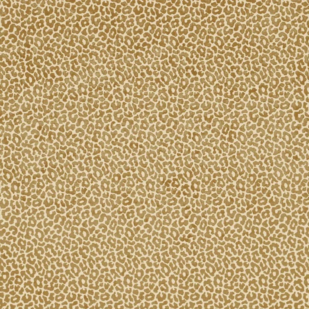 MADELEINE VELVET_ CAMEL