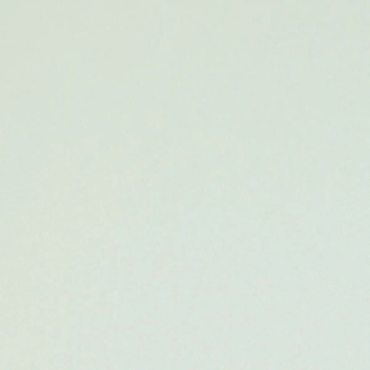 ELLIOTT BRUSHED COTTON_ IVORY