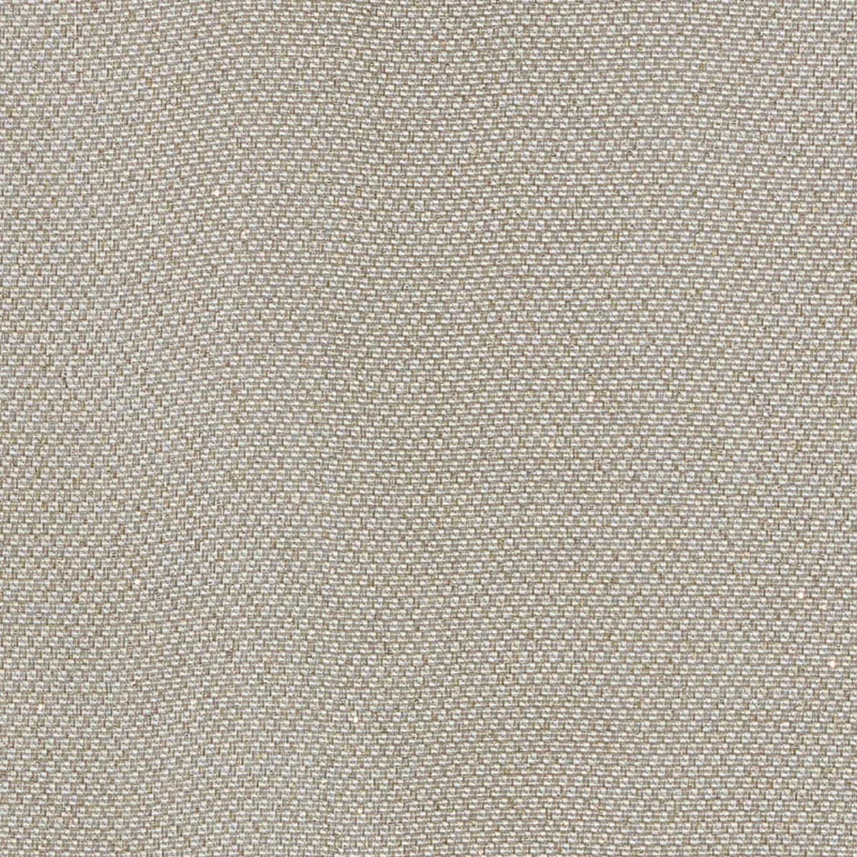 GIORGIO SHEER_ PLATINUM