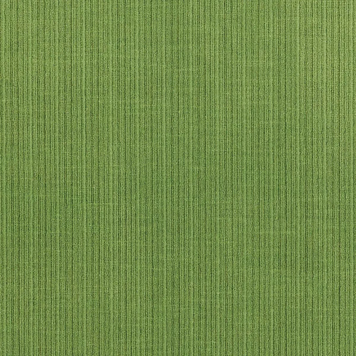 ANTIQUE STRIÉ VELVET_ VERDANT
