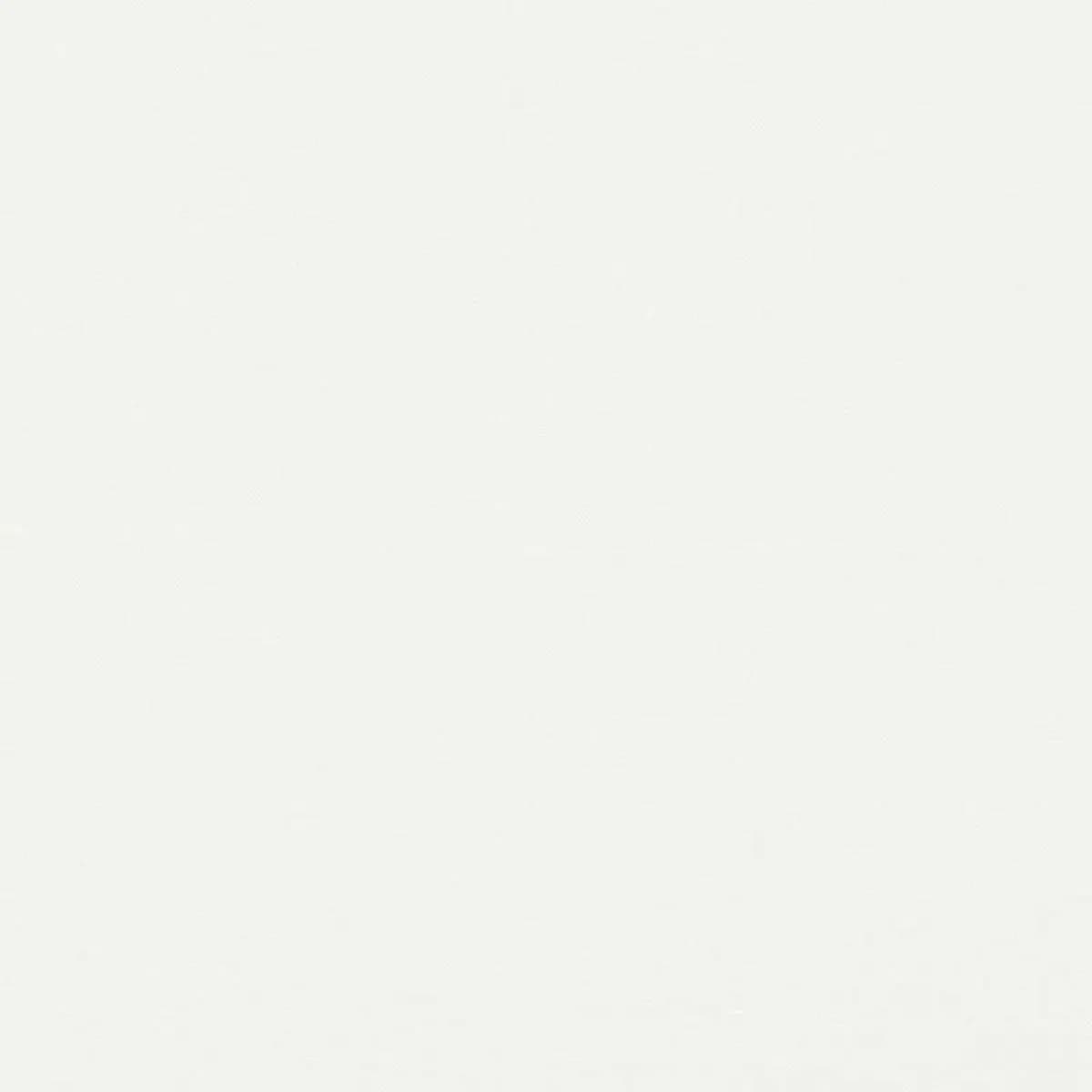 PIET PERFORMANCE LINEN_ BLANC