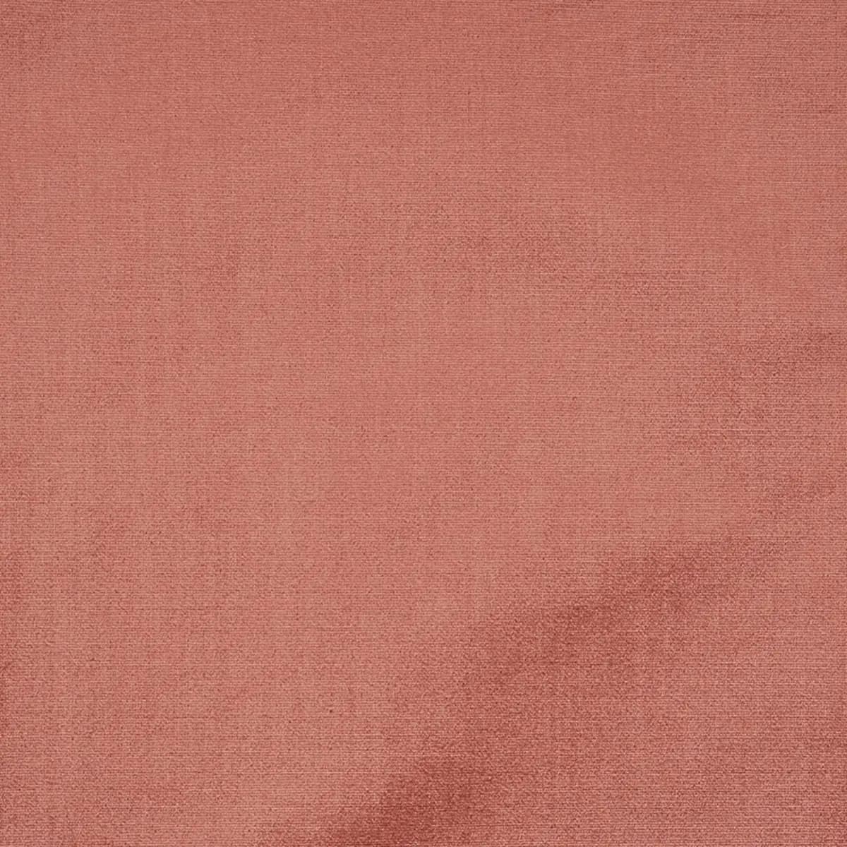 VENETIAN SILK VELVET_ CAMEO