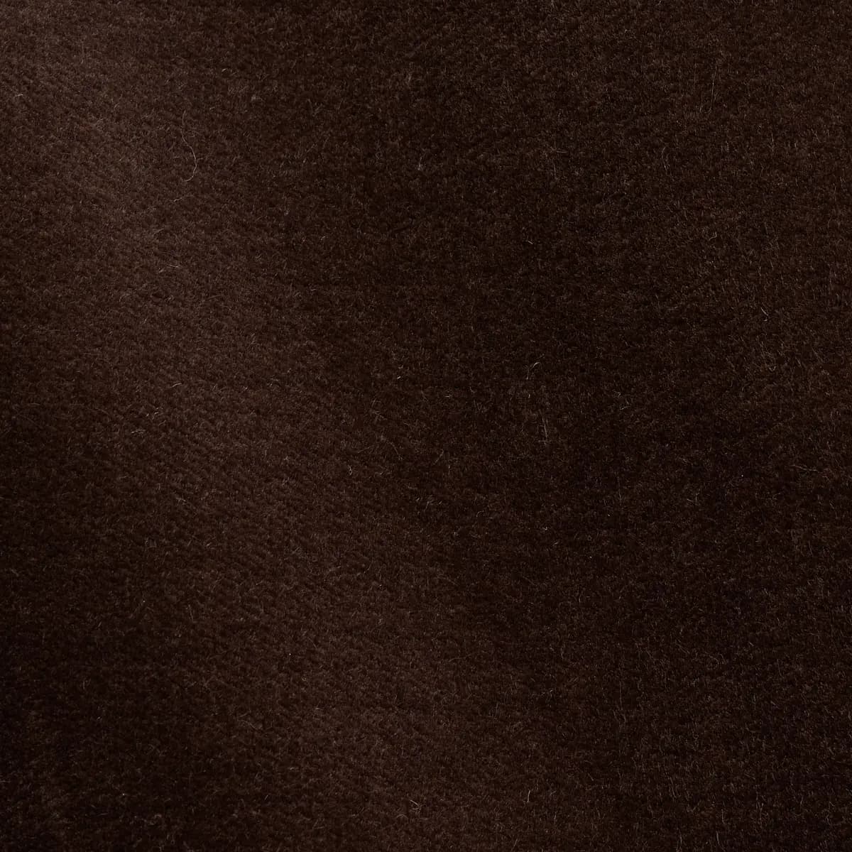 ROCKY PERFORMANCE VELVET_ ESPRESSO
