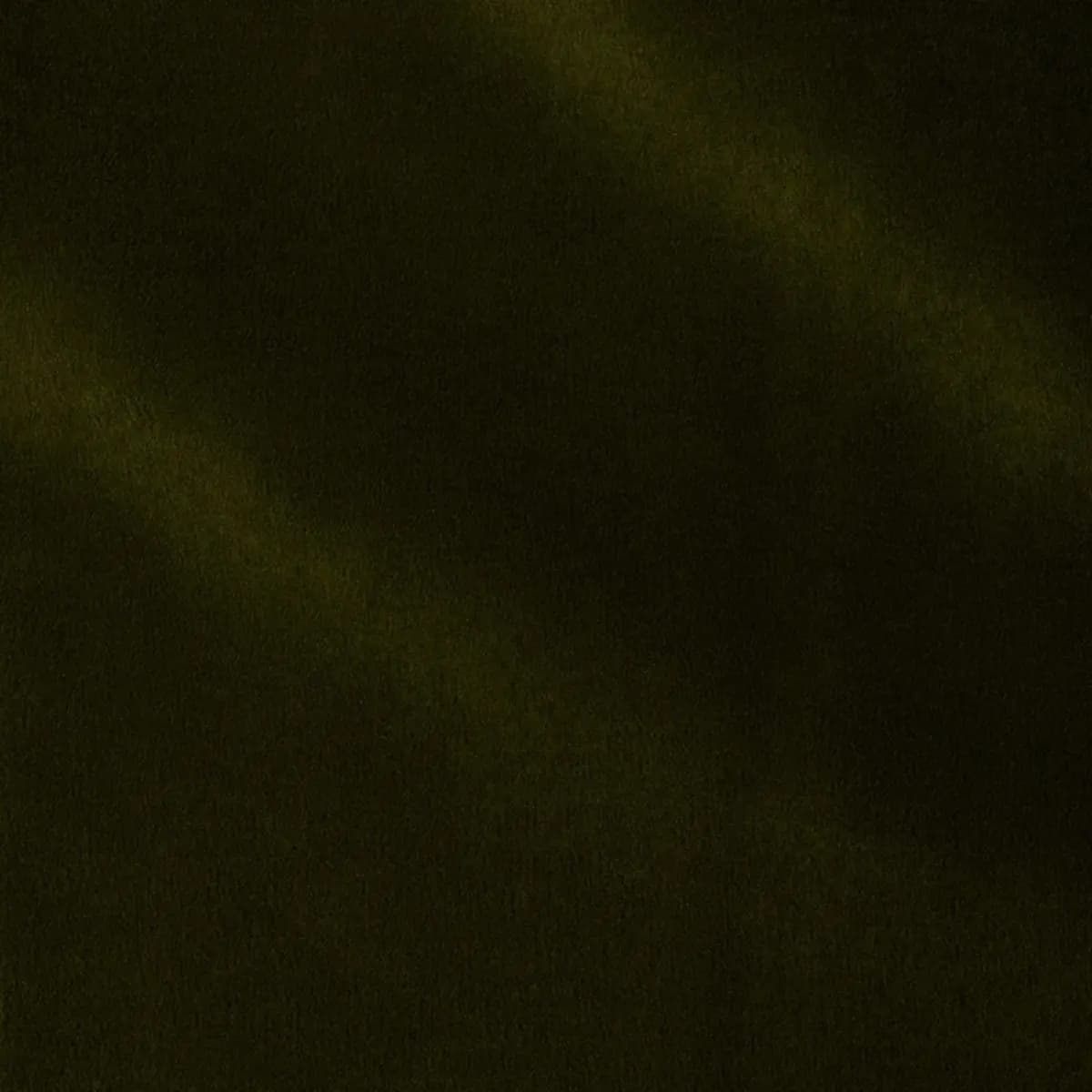 ROCKY PERFORMANCE VELVET_ MOSS