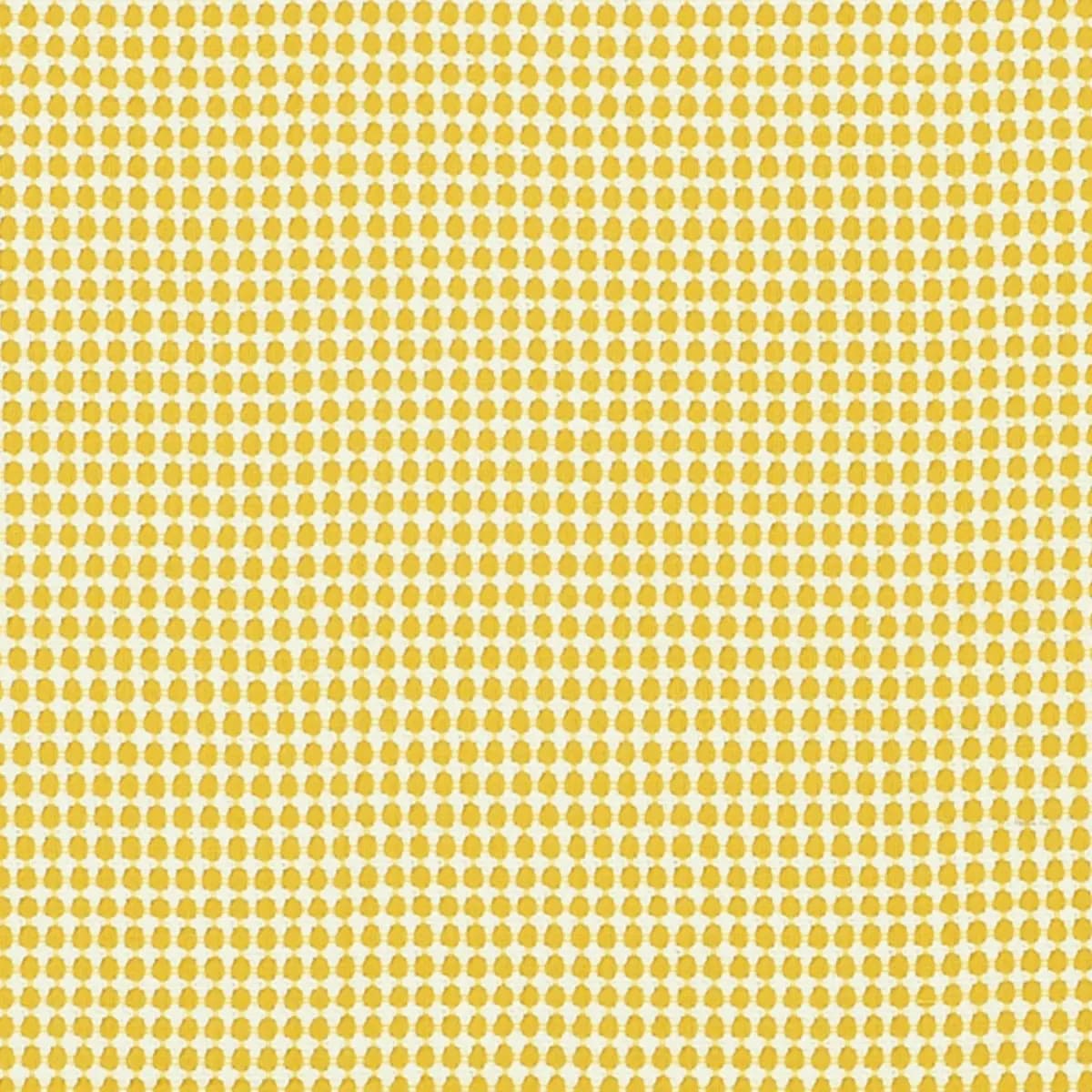 ZIPSTER_ YELLOW
