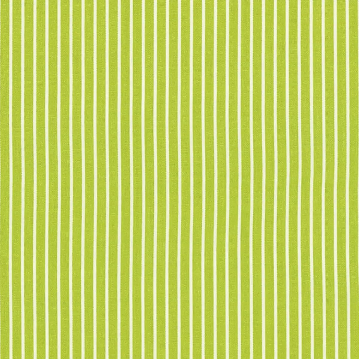 EDIE STRIPE_ GREEN