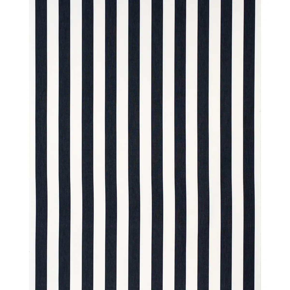 ANDY STRIPE_ BLACK