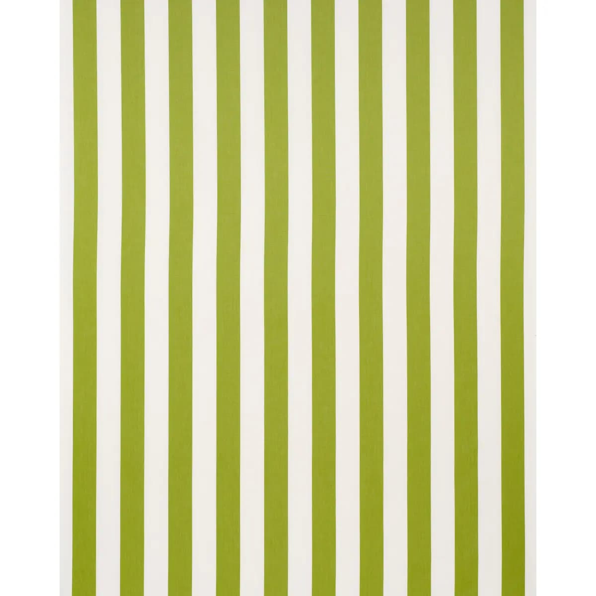 ANDY STRIPE_ GREEN