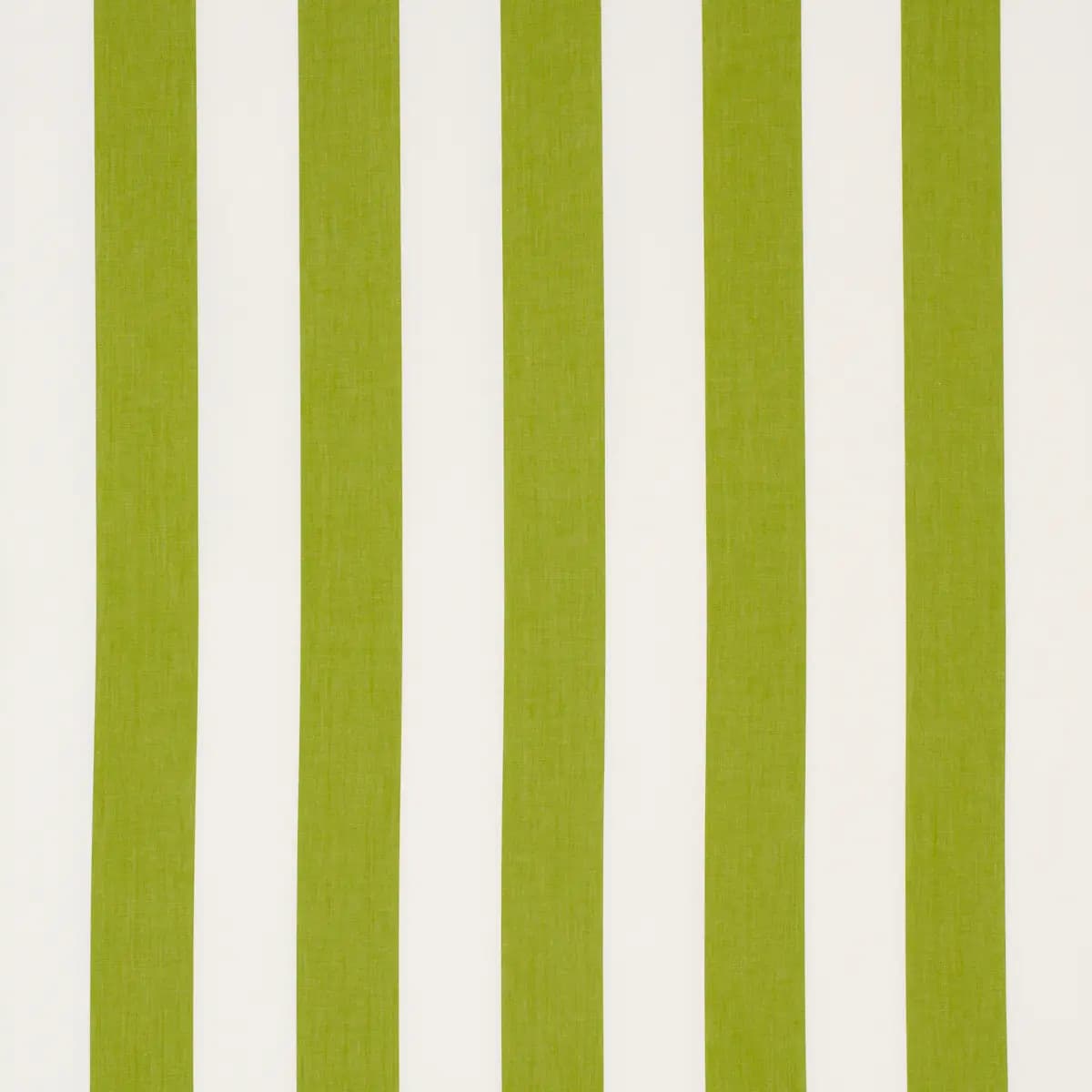 ANDY STRIPE_ GREEN
