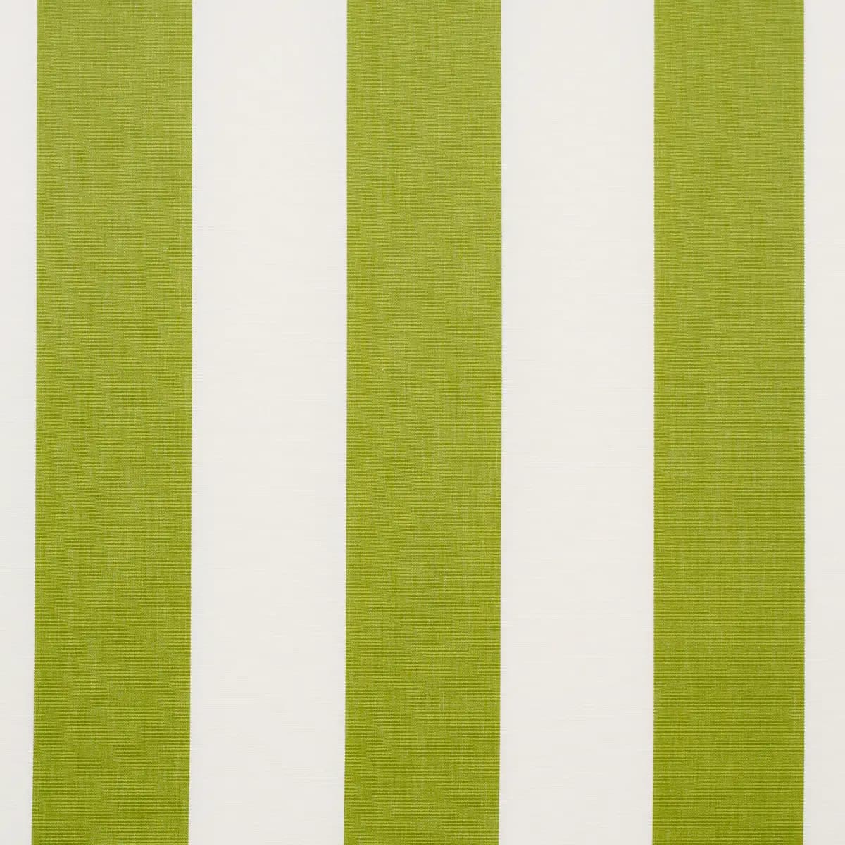 ANDY STRIPE_ GREEN