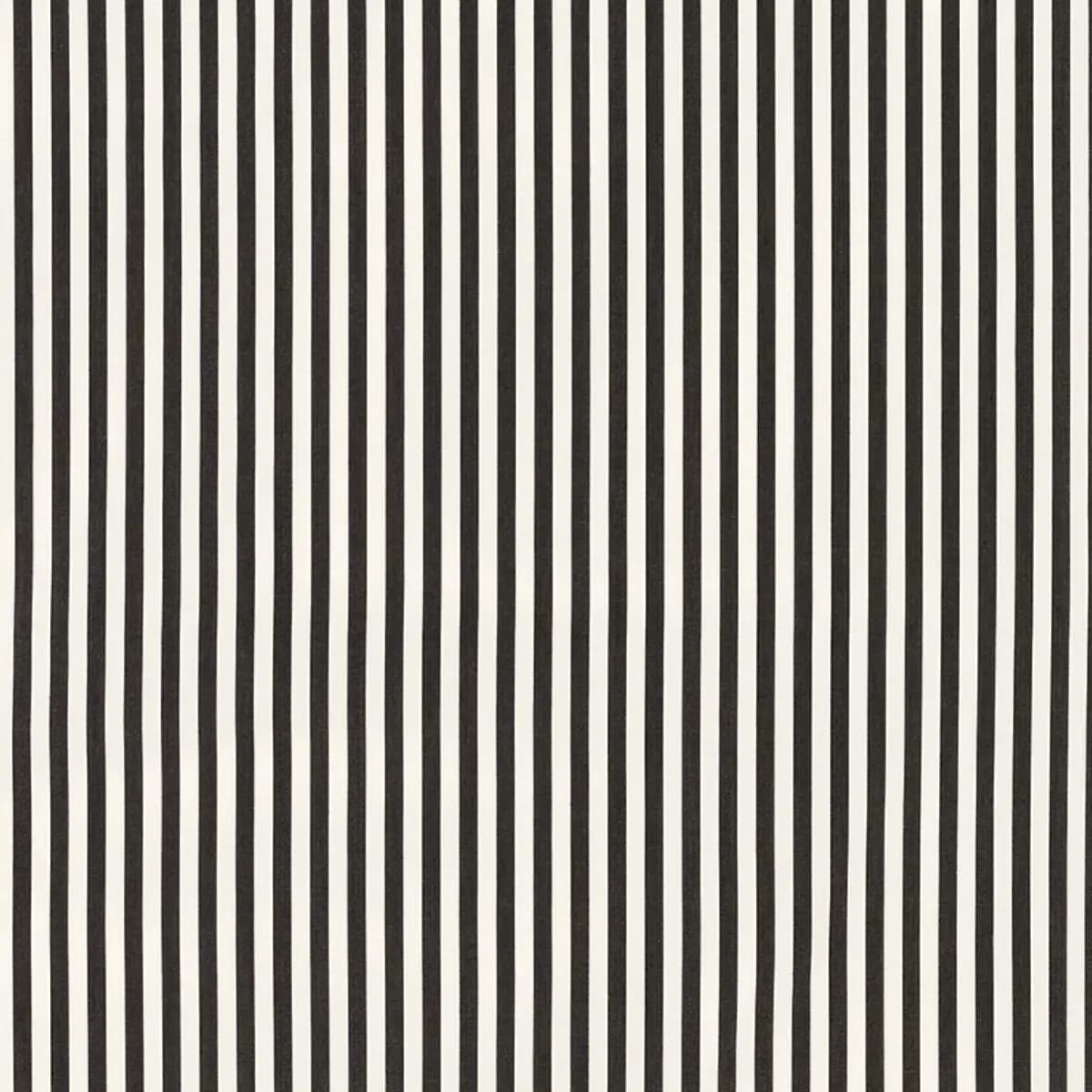 BRIGITTE STRIPE_ BLACK