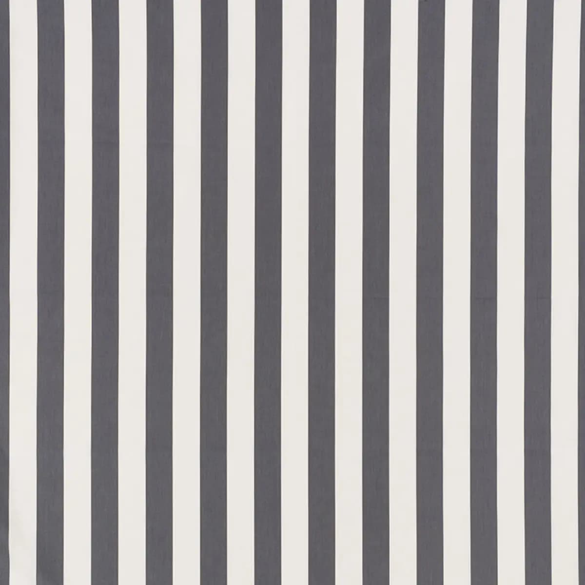 JAMES STRIPE_ CHARCOAL