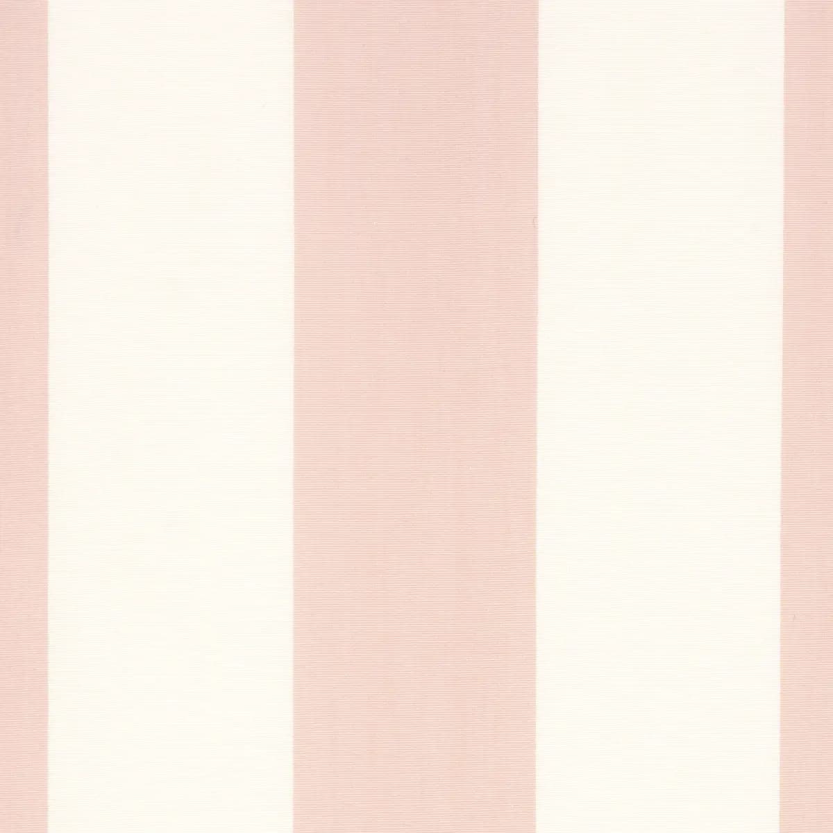 JAMES STRIPE_ BLUSH