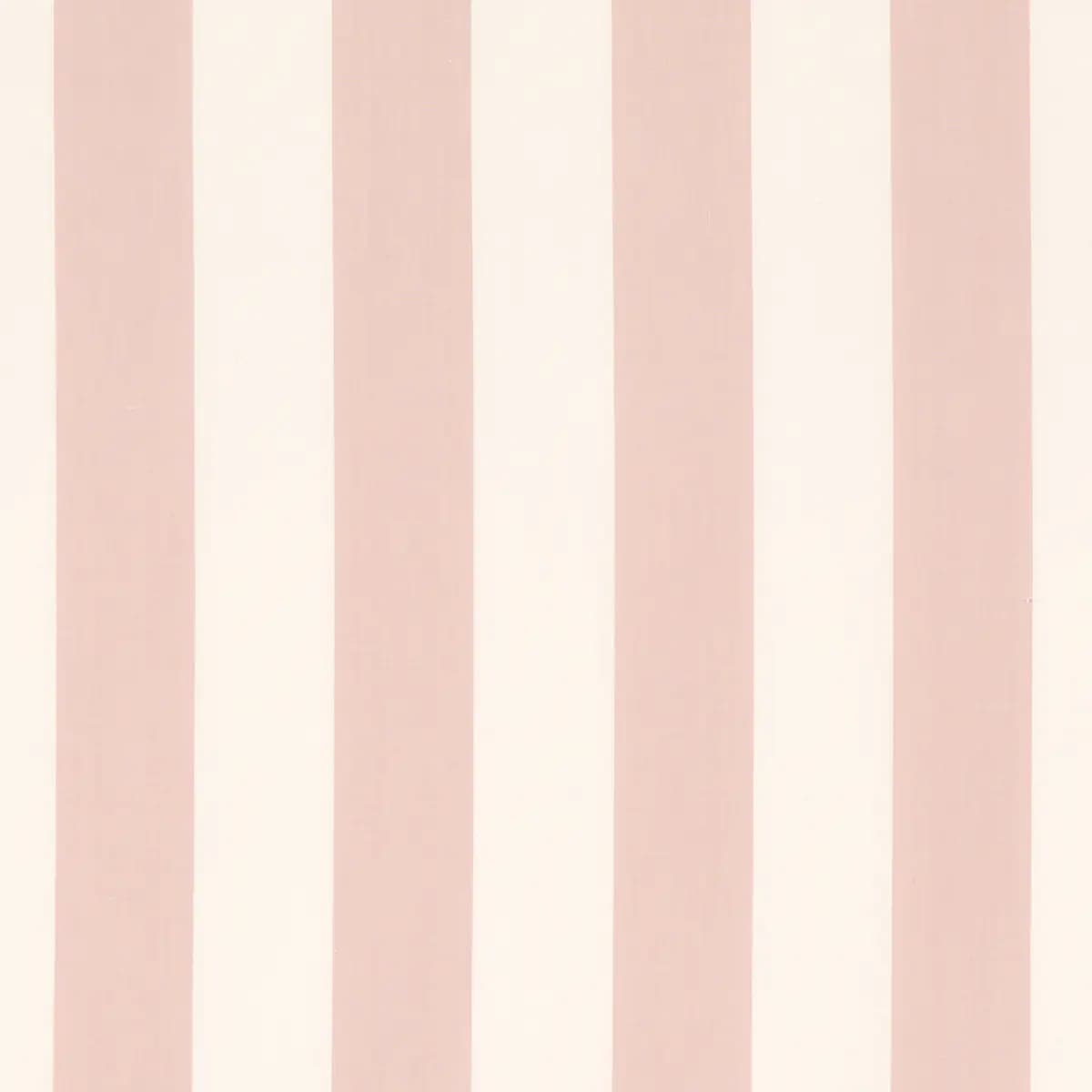 JAMES STRIPE_ BLUSH