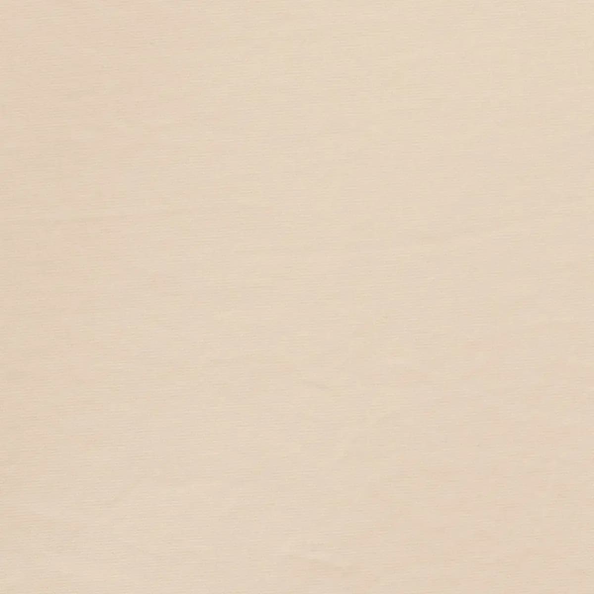 LUCA SATIN_ ERMINE