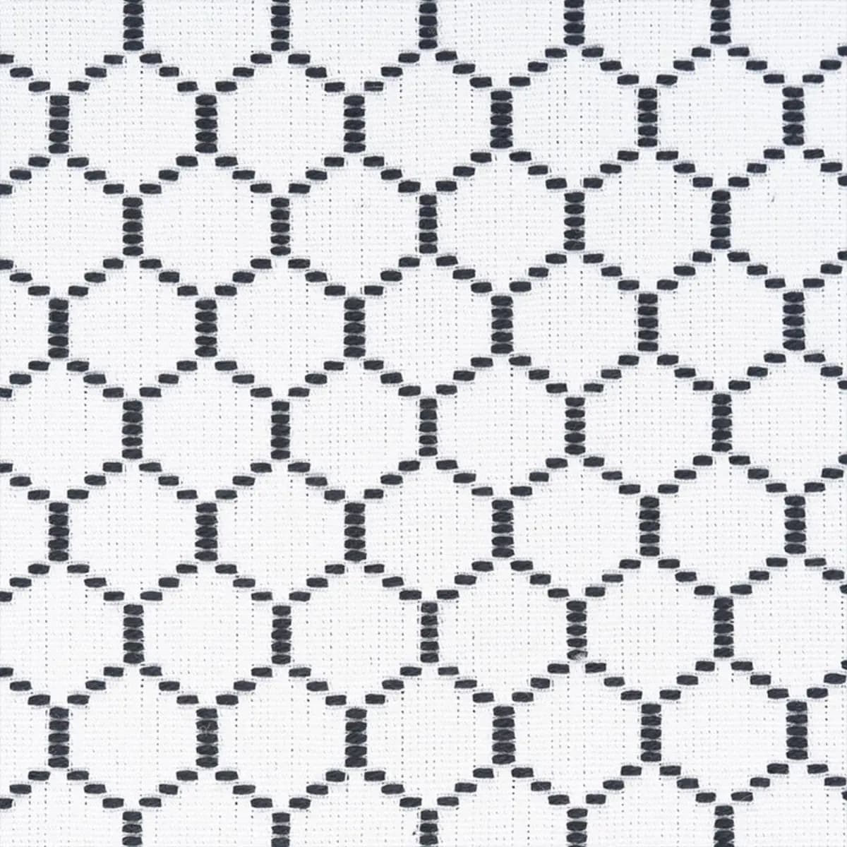 FISHNET_ SPECTATOR