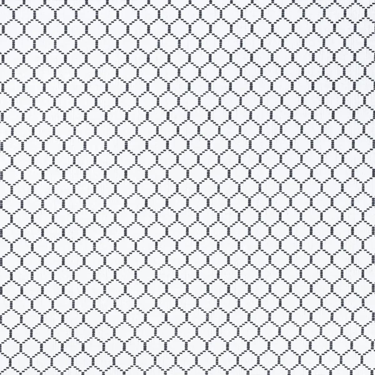 FISHNET_ SPECTATOR