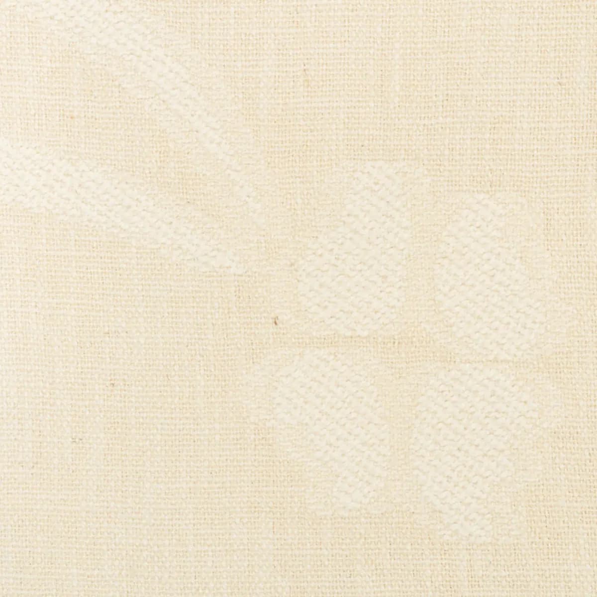 TERRA_ PARCHMENT