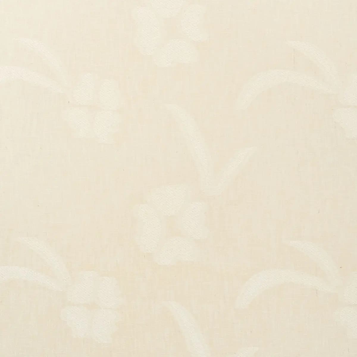 TERRA_ PARCHMENT