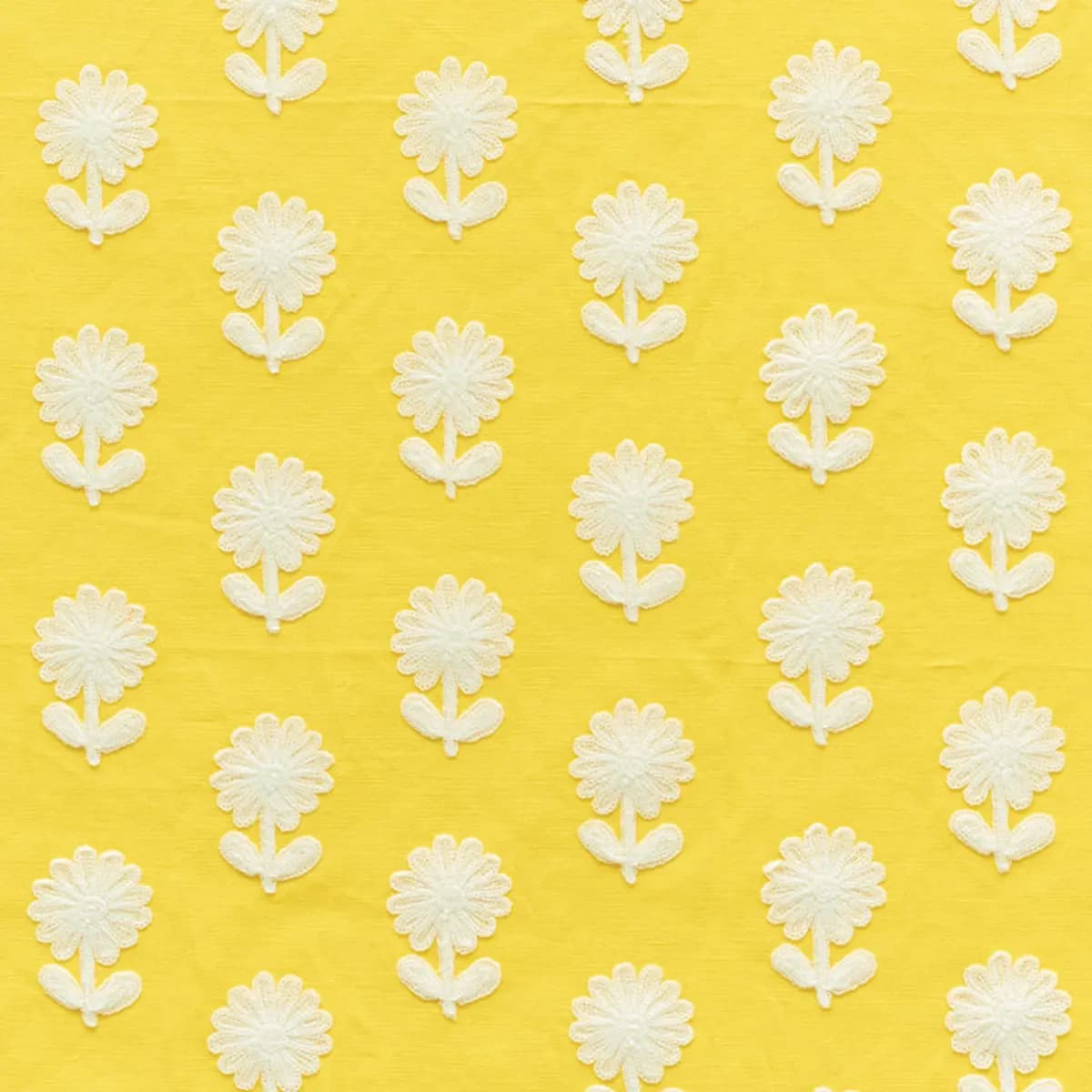 Paley Embroidery_ YELLOW
