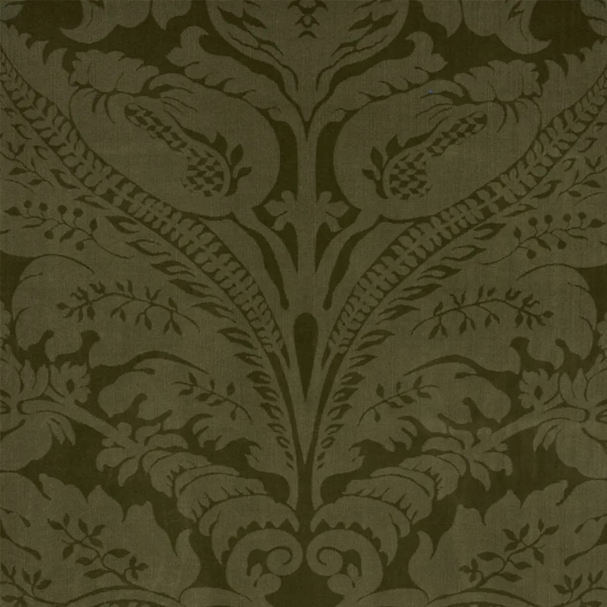 CORDWAIN VELVET_ OLIVE