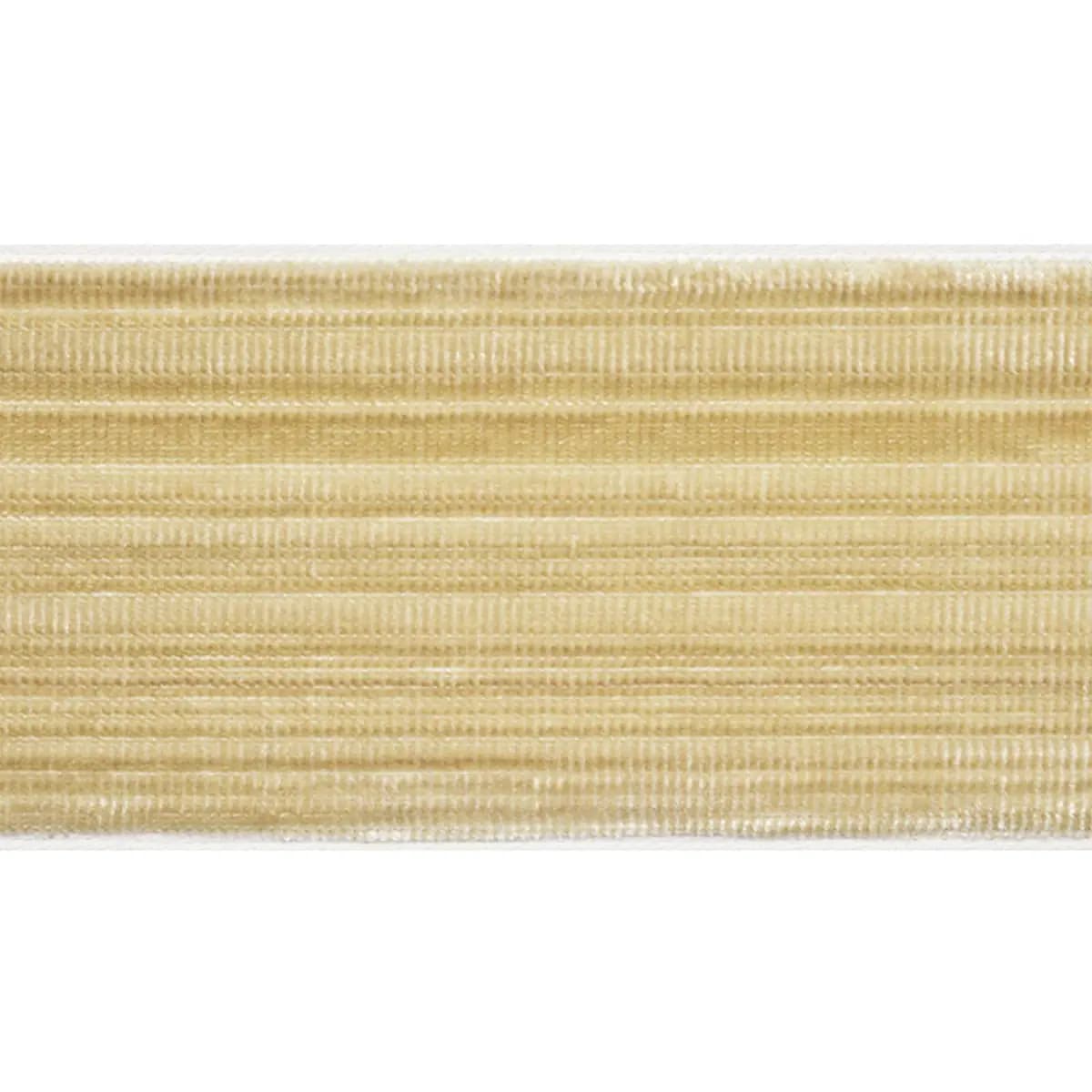 GASPARD VELVET TAPE WIDE_ GOLD