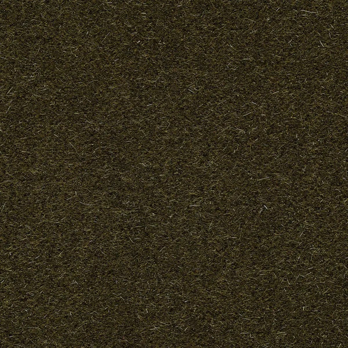 SAN CARLO MOHAIR VELVET_ OLIVE