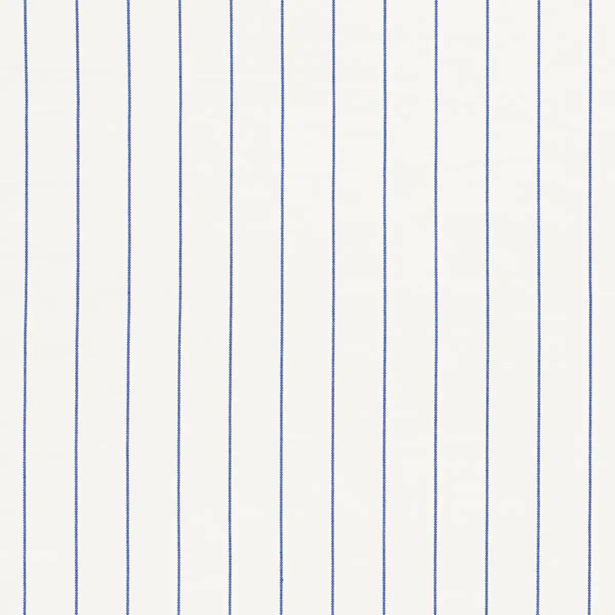 CAVETT STRIPE_ BLUE