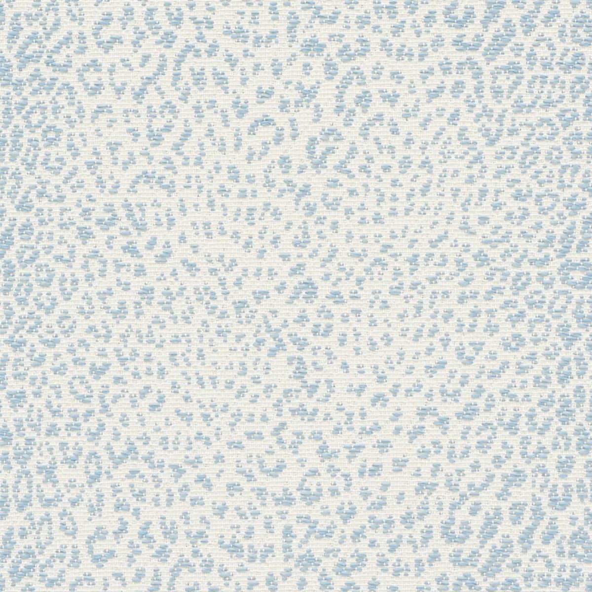 MINI LEOPARD OUTDOOR_ SKY