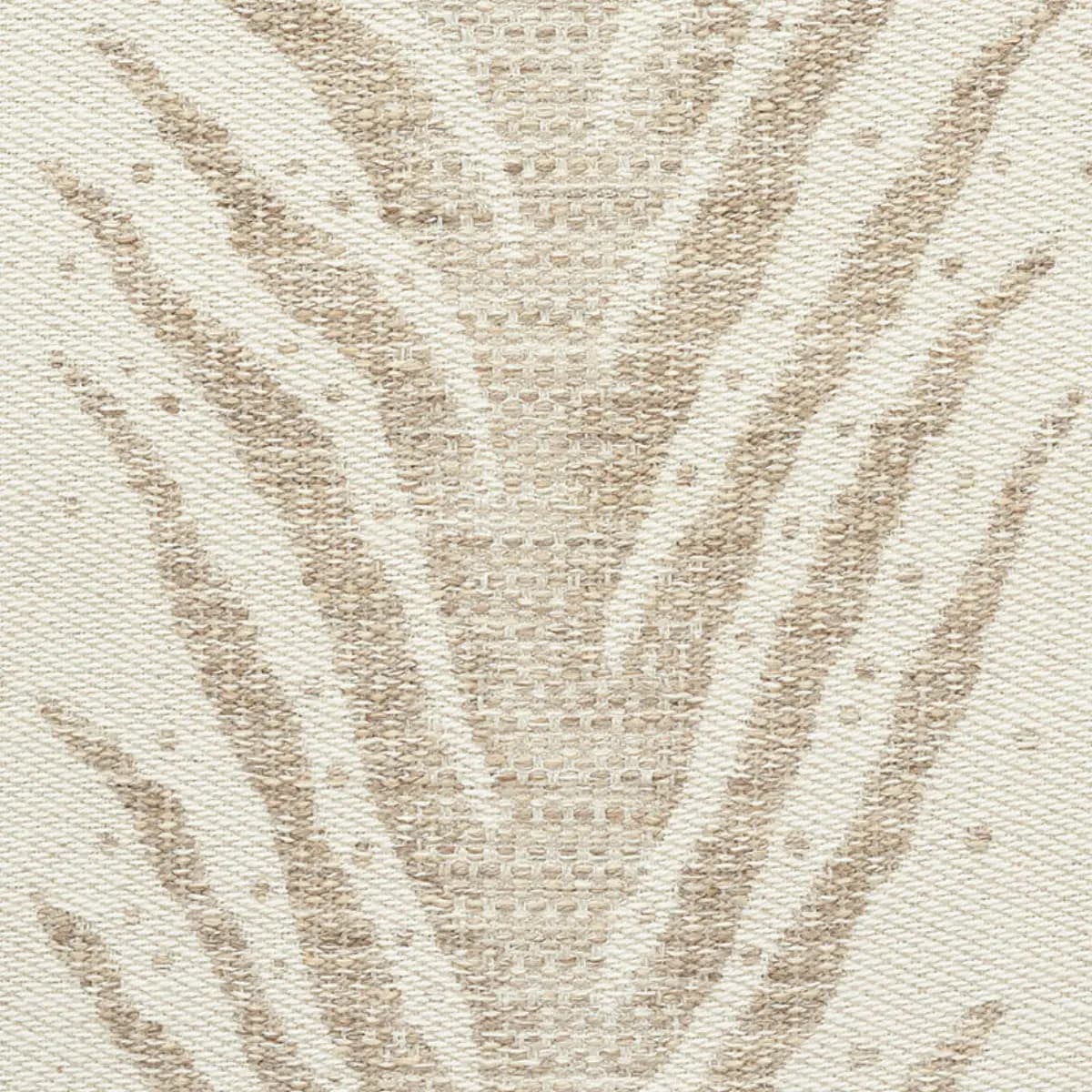 CREEPING FERN_ DUNE