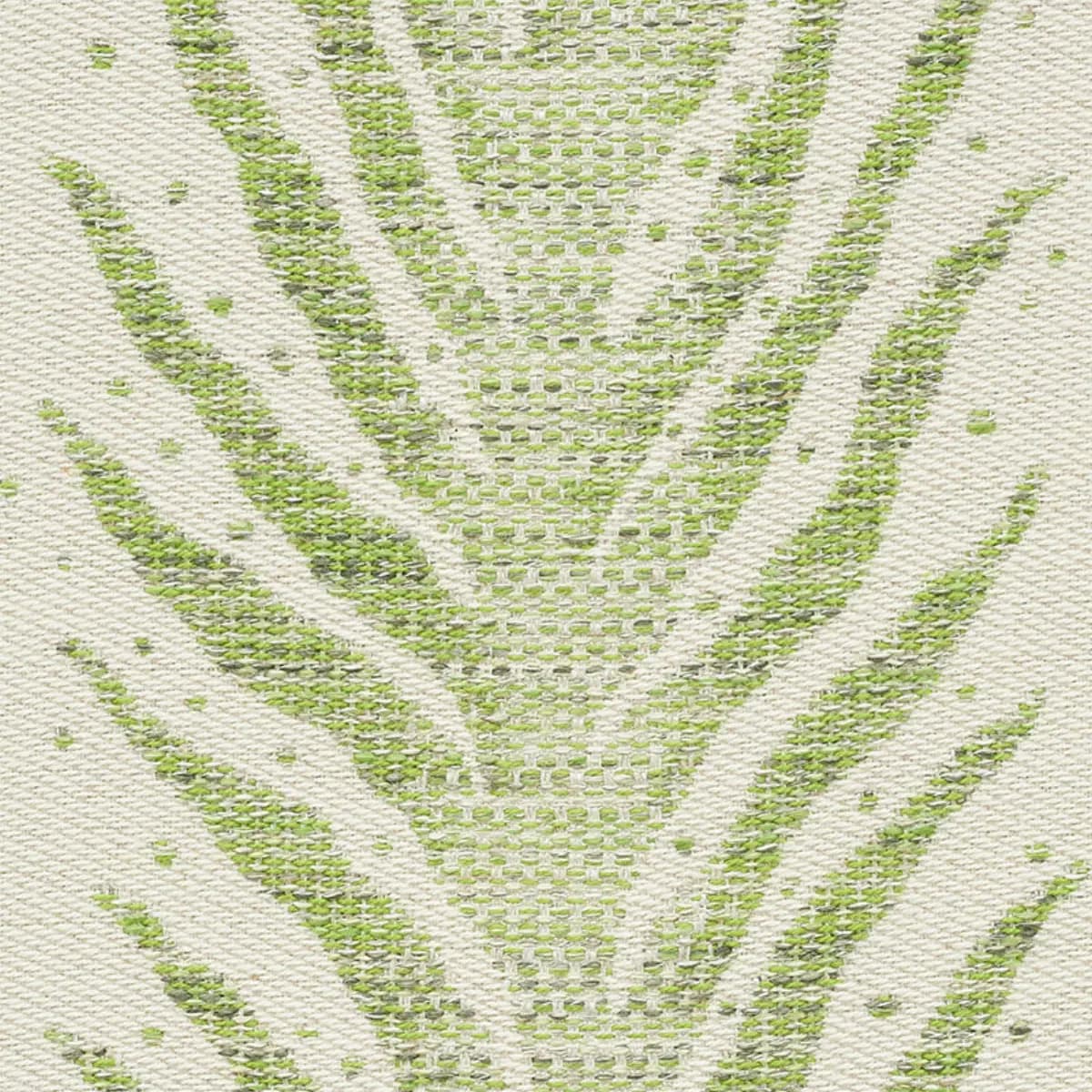 CREEPING FERN_ MOSS