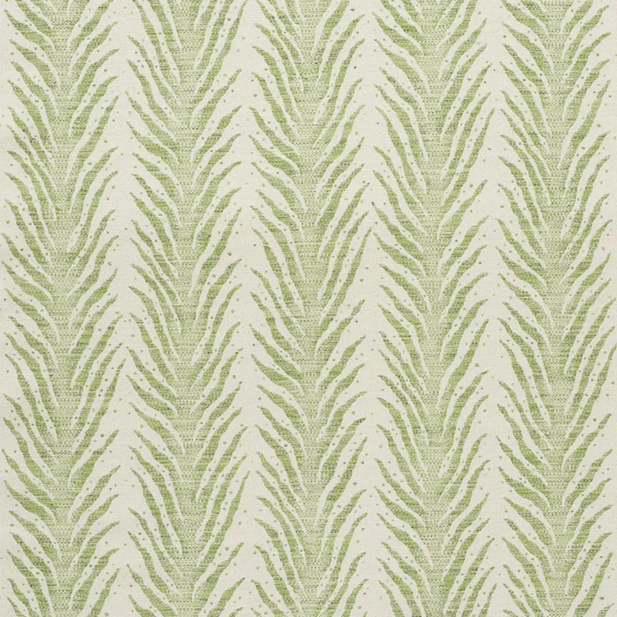 CREEPING FERN_ MOSS