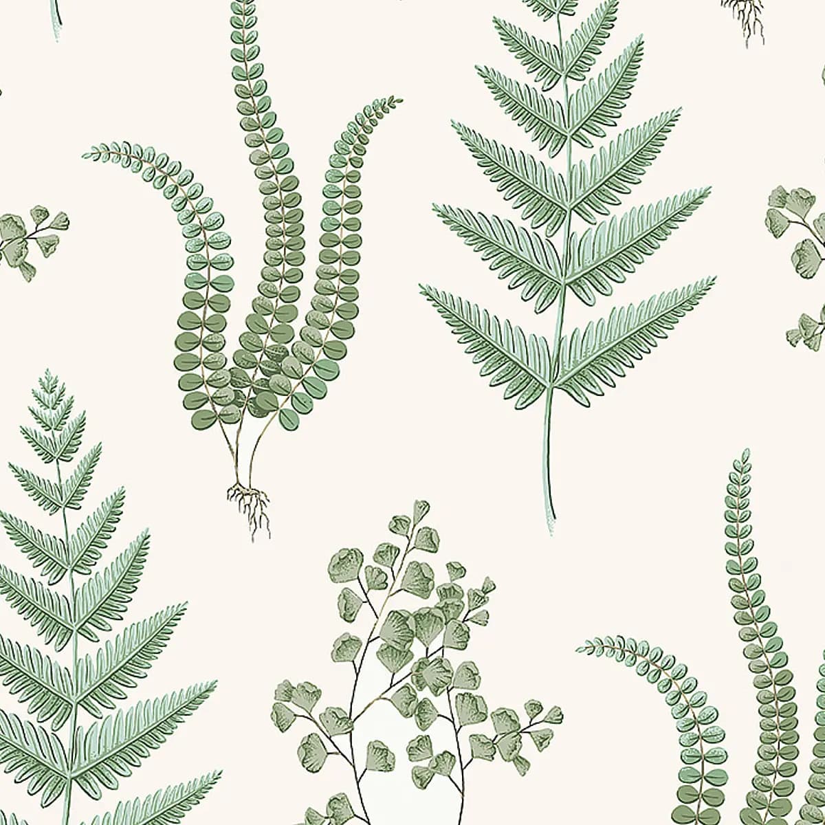 HERBA_ LEAF