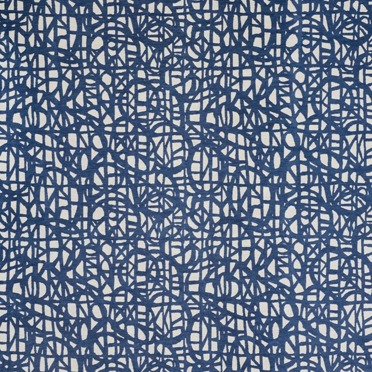 MOMENTUM_ BLUE