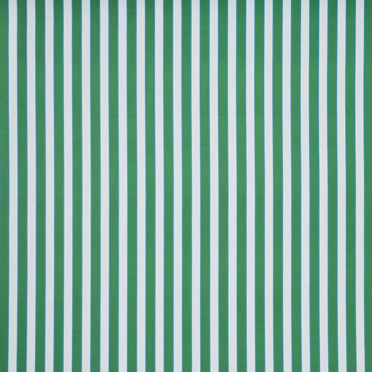 RIBBON STRIPE_ EMERALD
