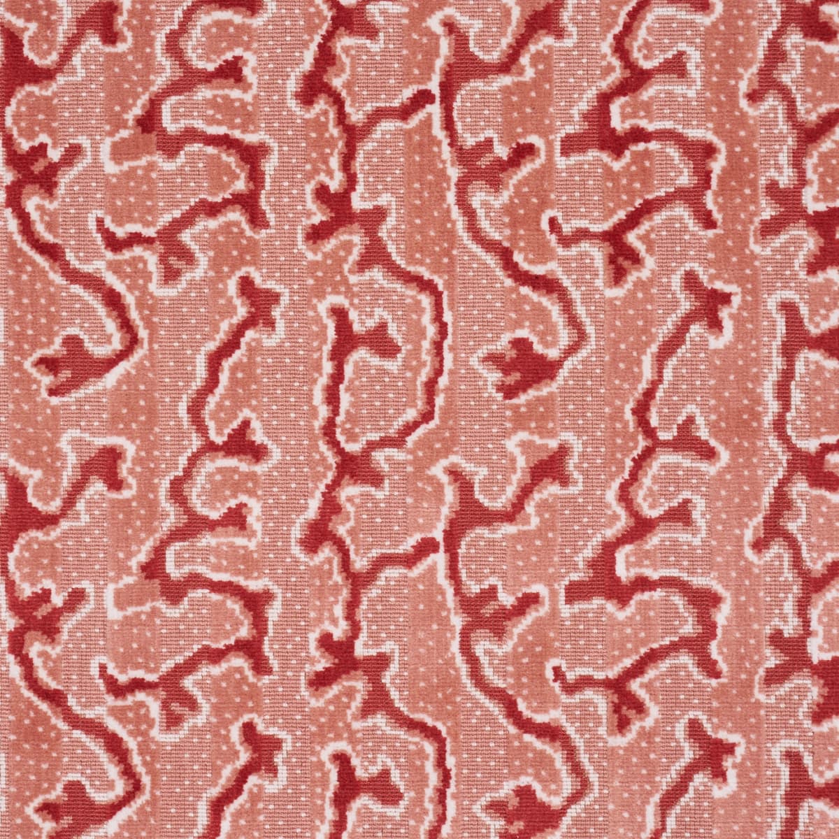 CORAIL VELVET_ CORAL