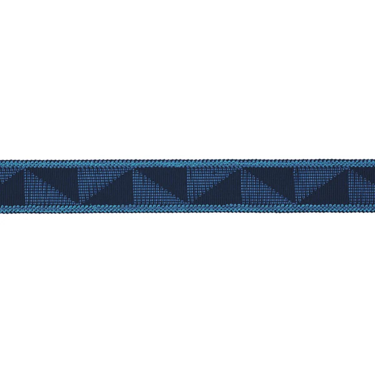 TEAGUE TAPE INDOOR/OUTDOOR_ BLUE