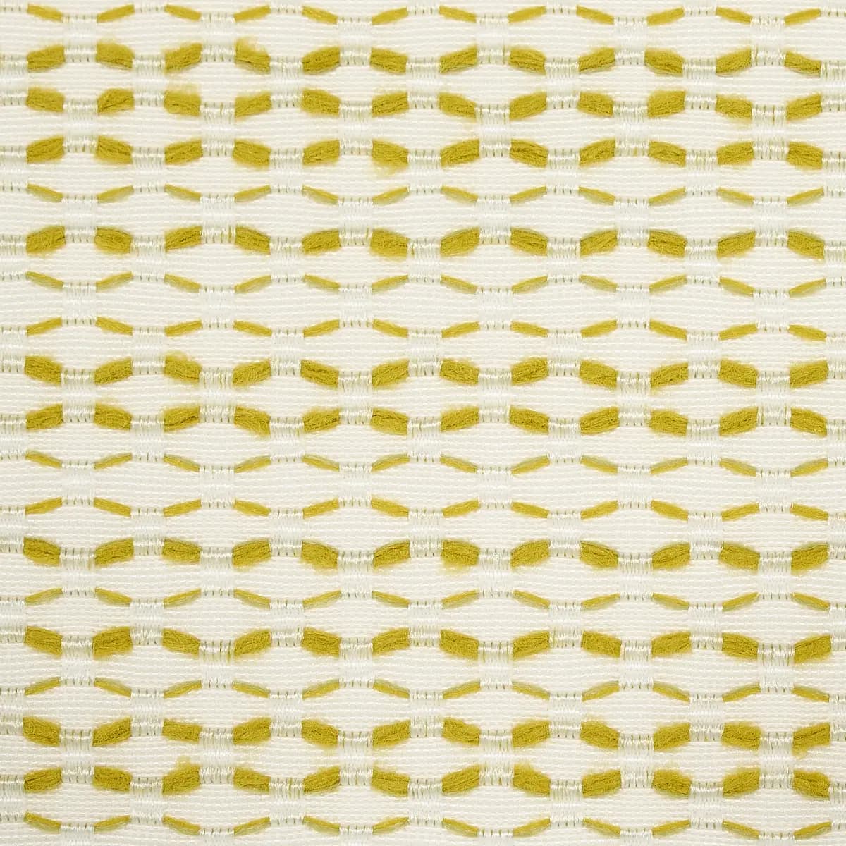 BRANFORD INDOOR/OUTDOOR_ LIME