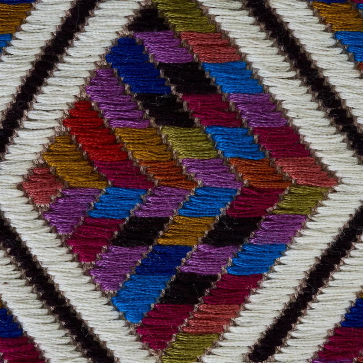 CHAHAL HAND WOVEN BROCADE_ CARNIVAL