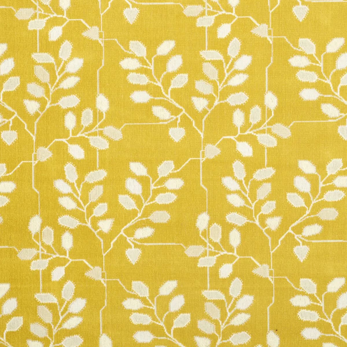 TUMBLE WEED ÉPINGLÉ_ BUTTERCUP