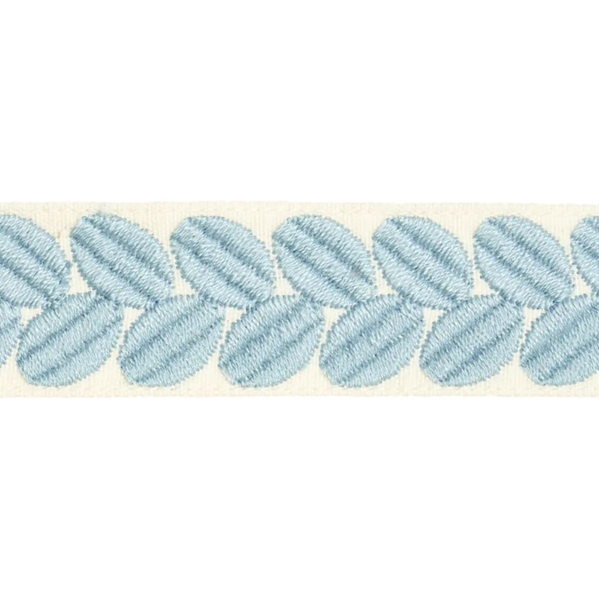 BERKELEY TAPE NARROW_ SKY