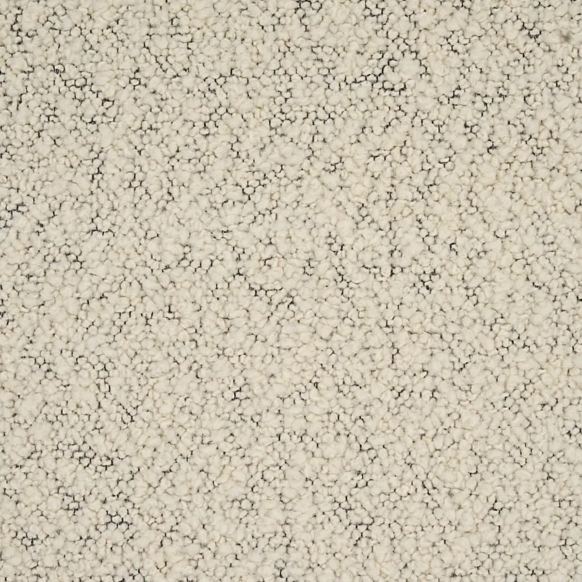 MARGARETE BOUCLÉ_ IVORY ON CHARCOAL