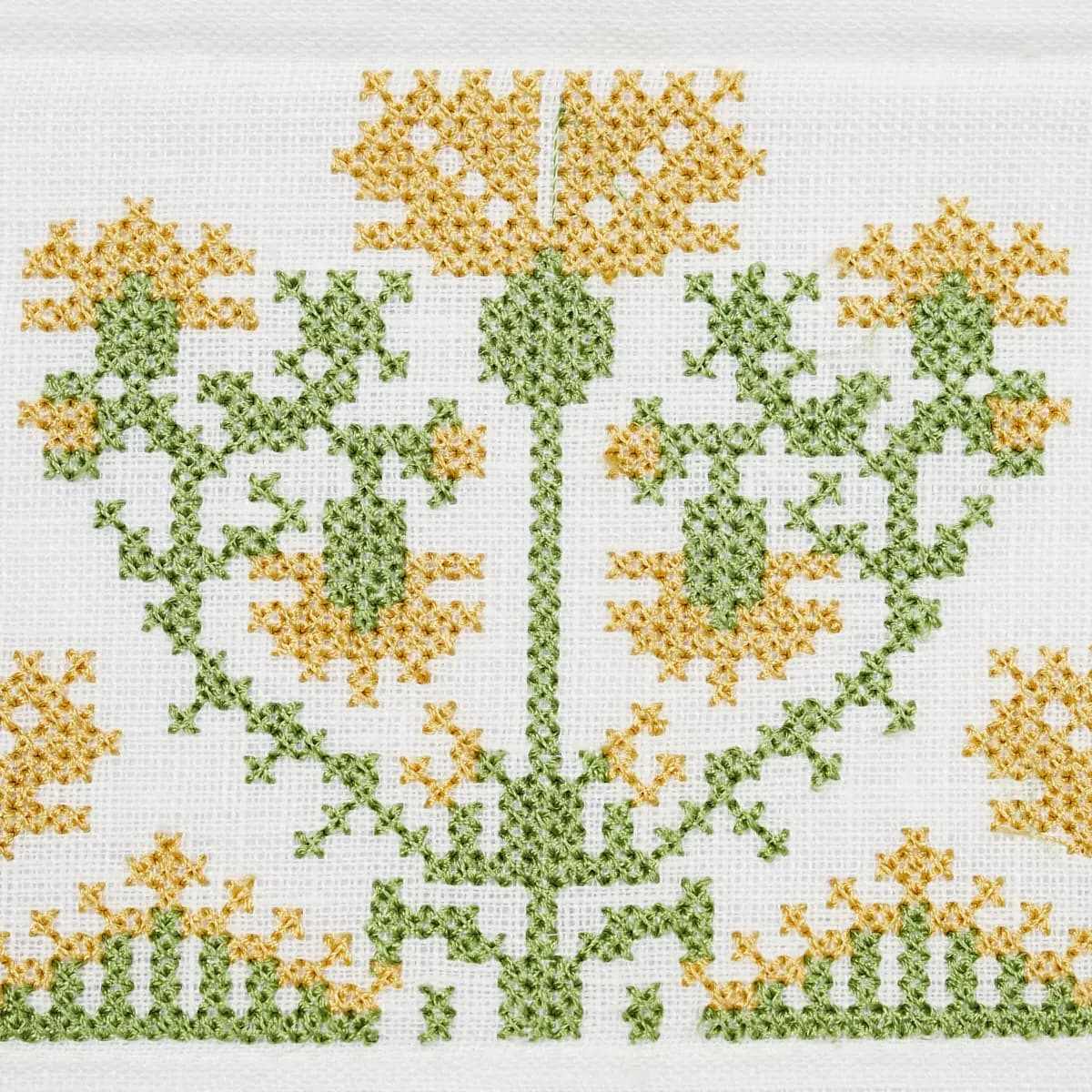 CUSTIS EMBROIDERED TAPE_ MARIGOLD