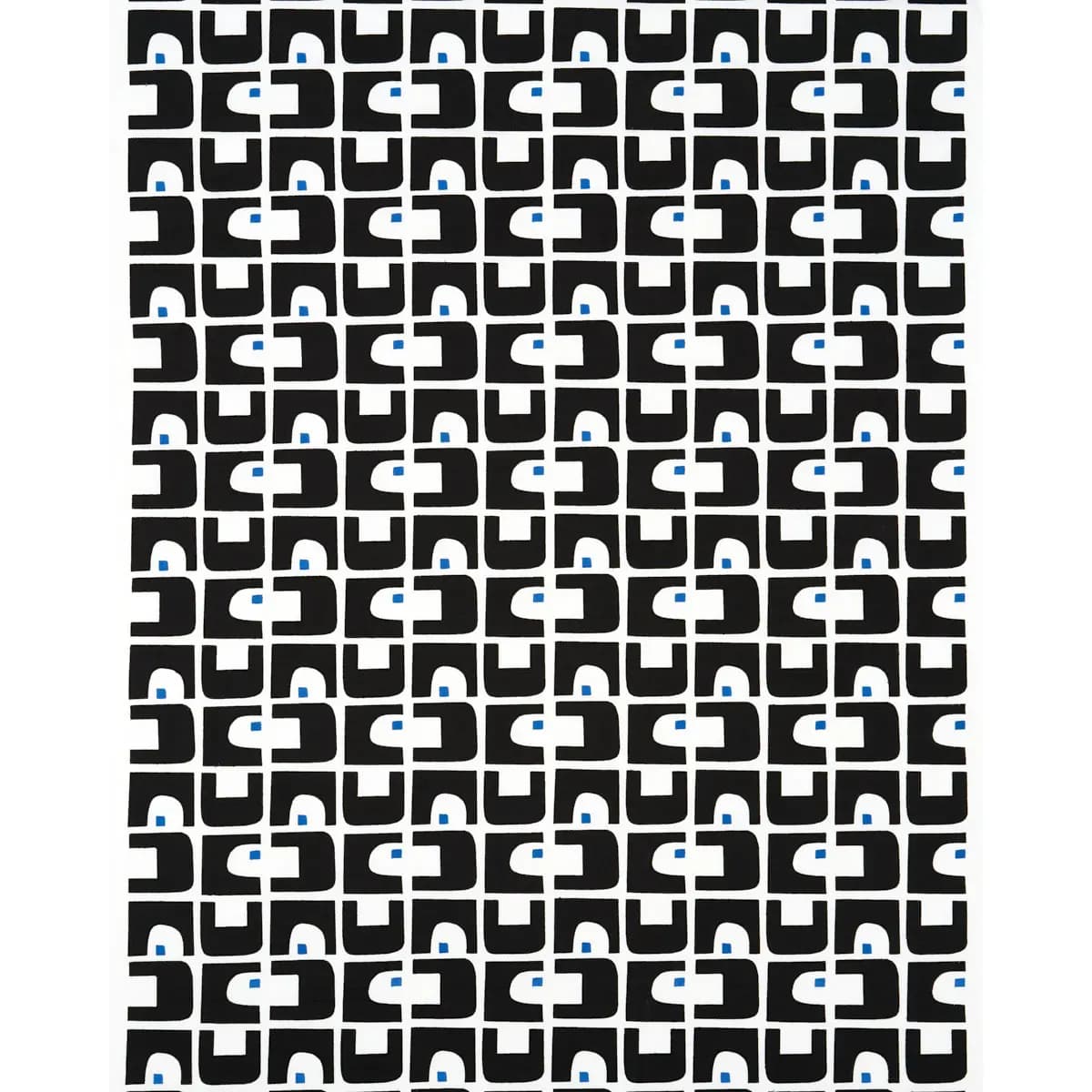 DEN APPLIQUÉ_ CARBON