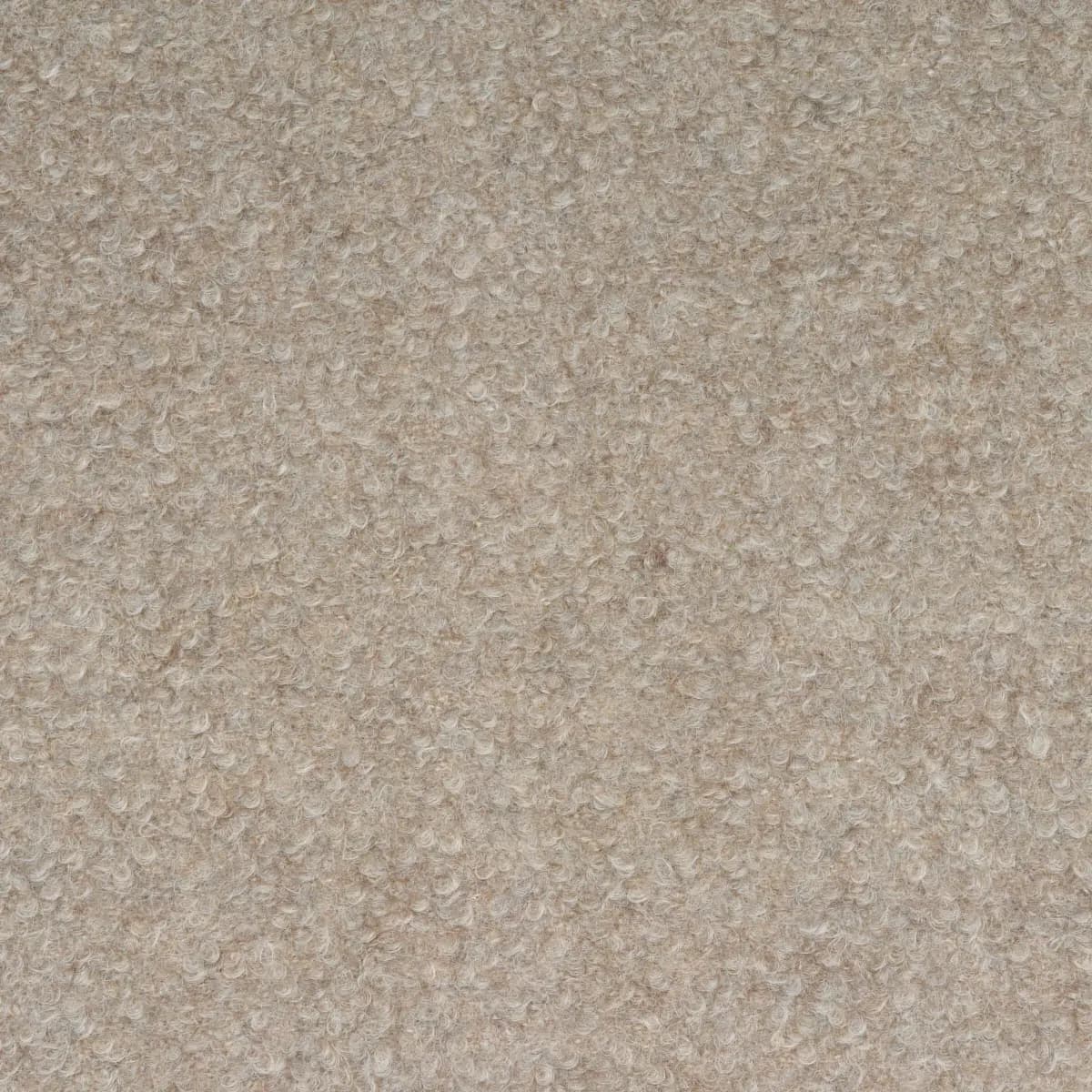 TEDDY WOOL BOUCLÉ_ RABBIT