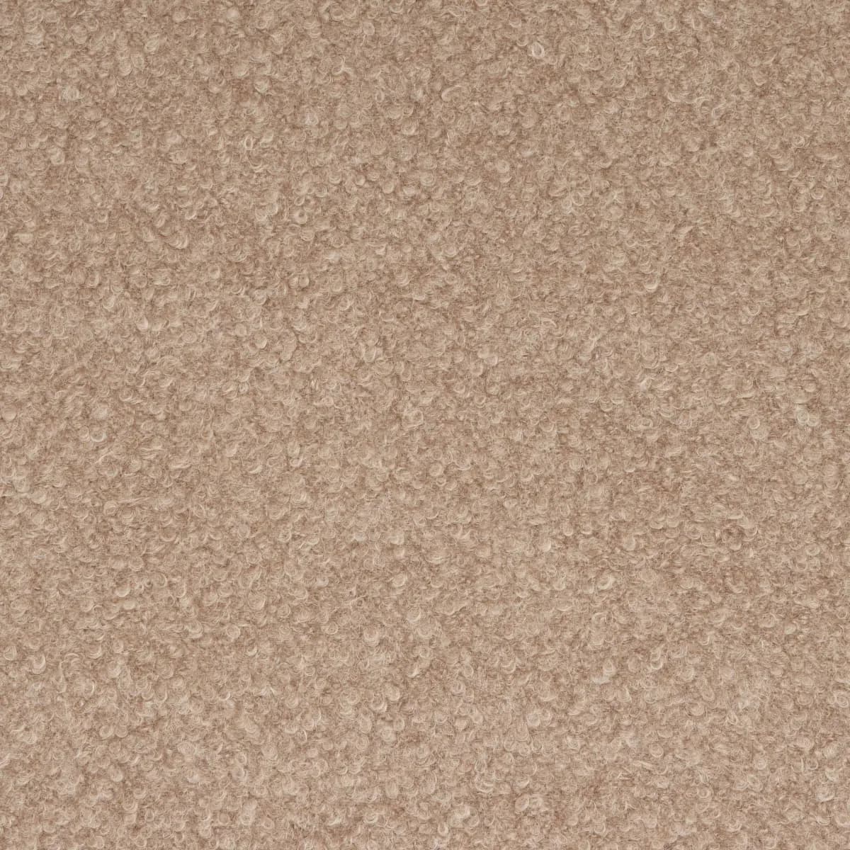 TEDDY WOOL BOUCLÉ_ FAWN