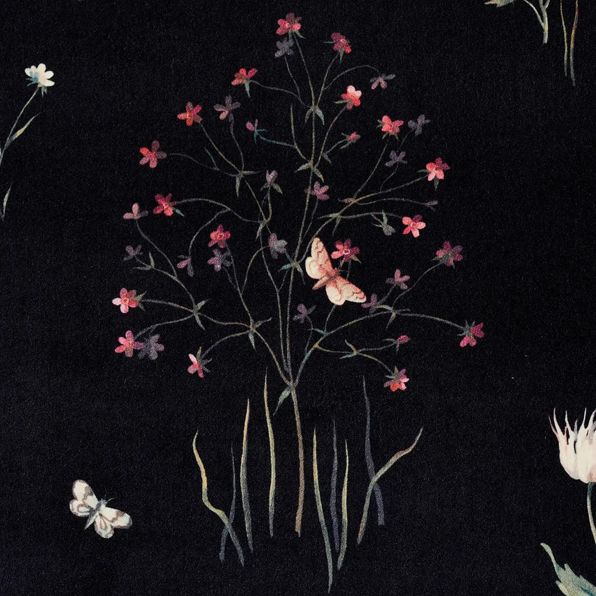 PRIMAVERA VELVET_ BLACK