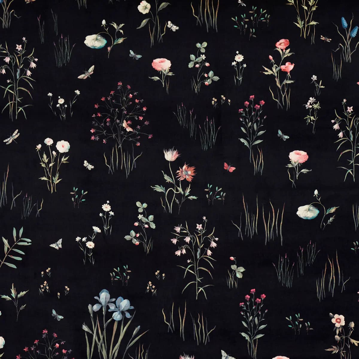 PRIMAVERA VELVET_ BLACK