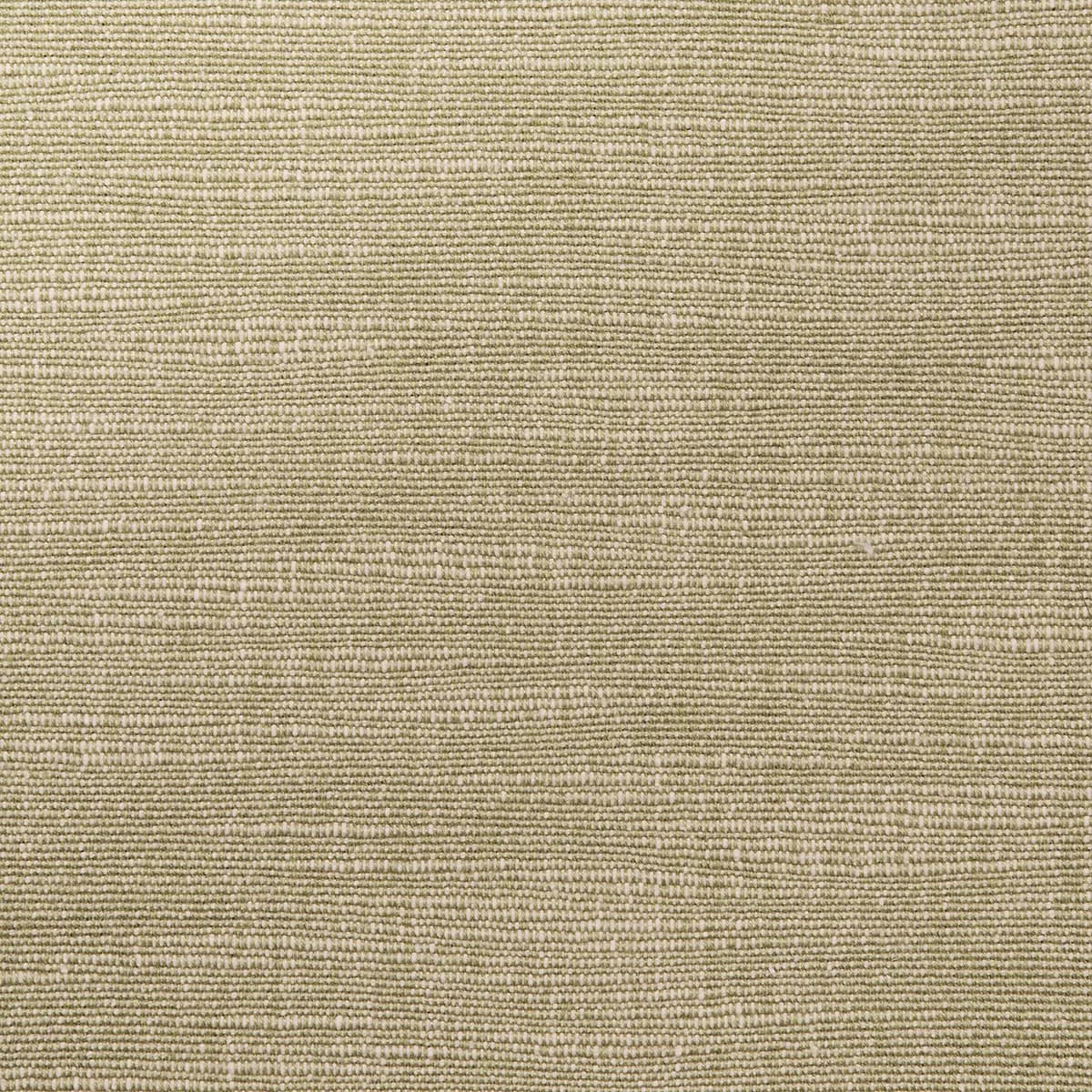 ANNABEL COTTON_ NEUTRAL