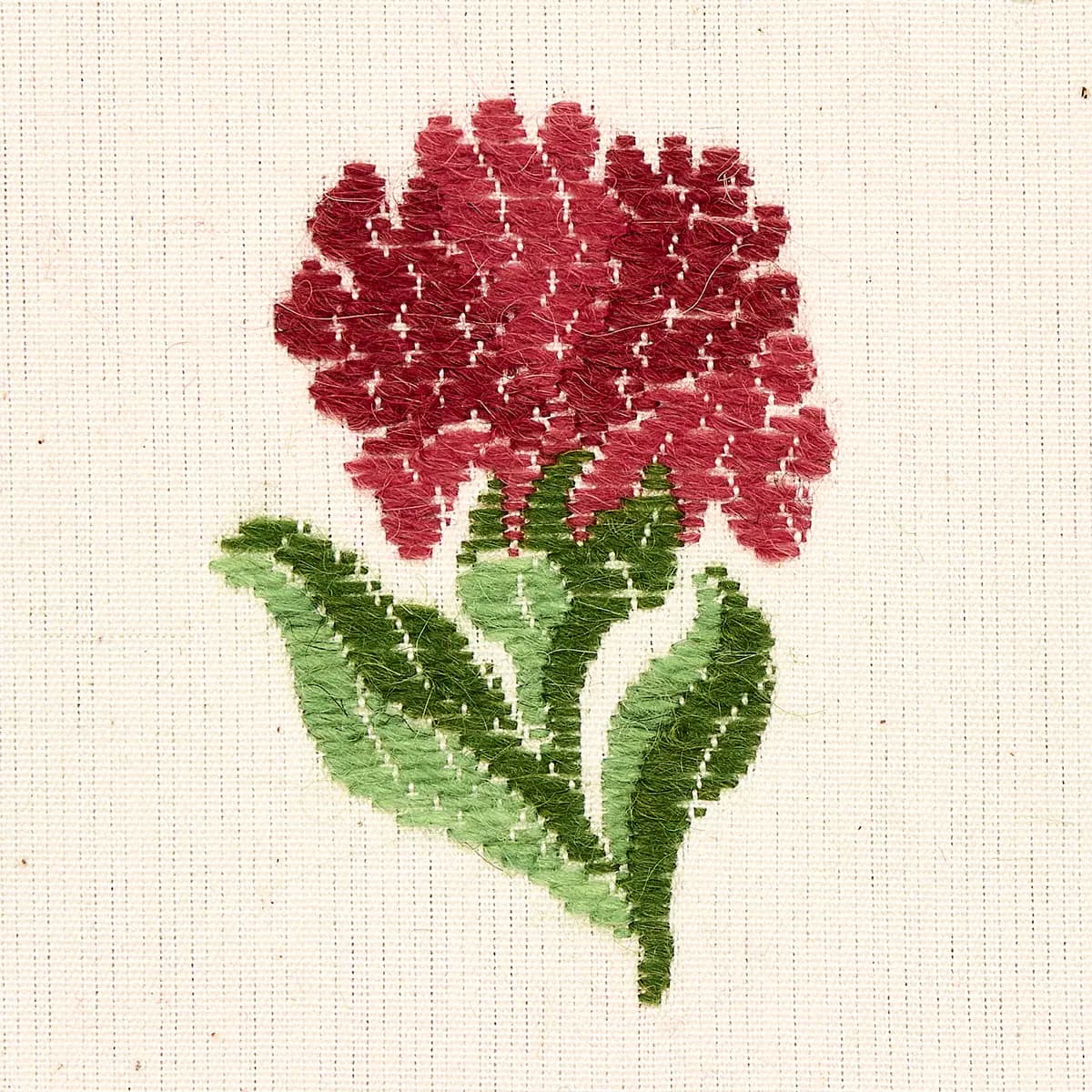 ROSINA FLORAL_ GARNET